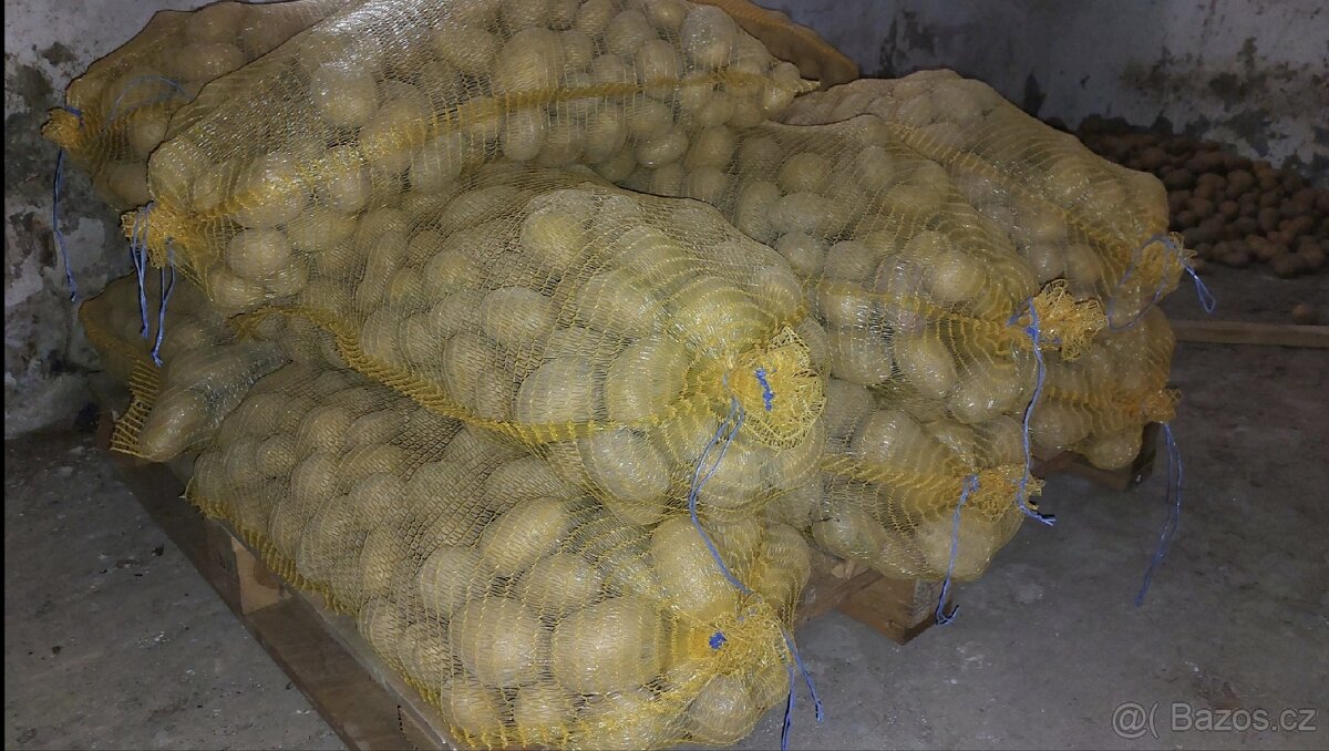 Prodám brambory - 5