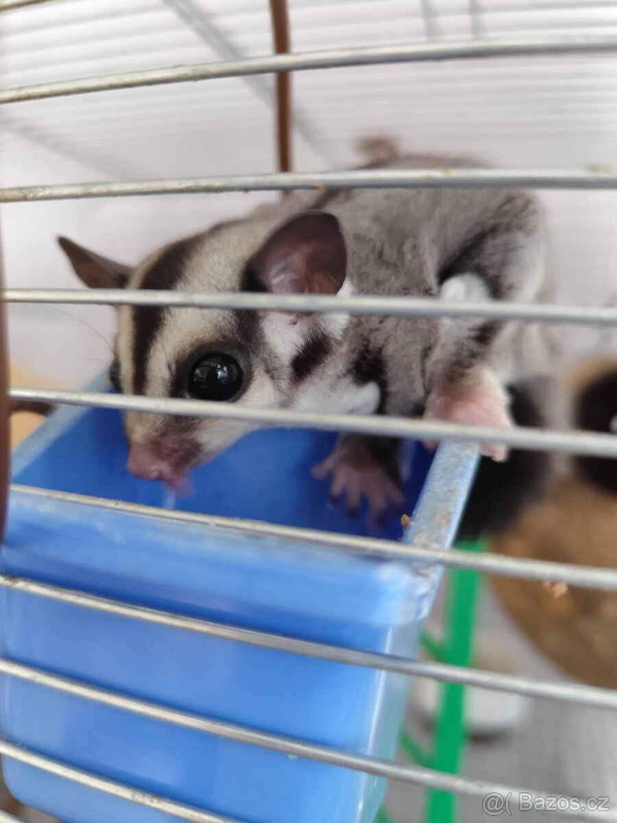 Vakoverka - prodej - 5