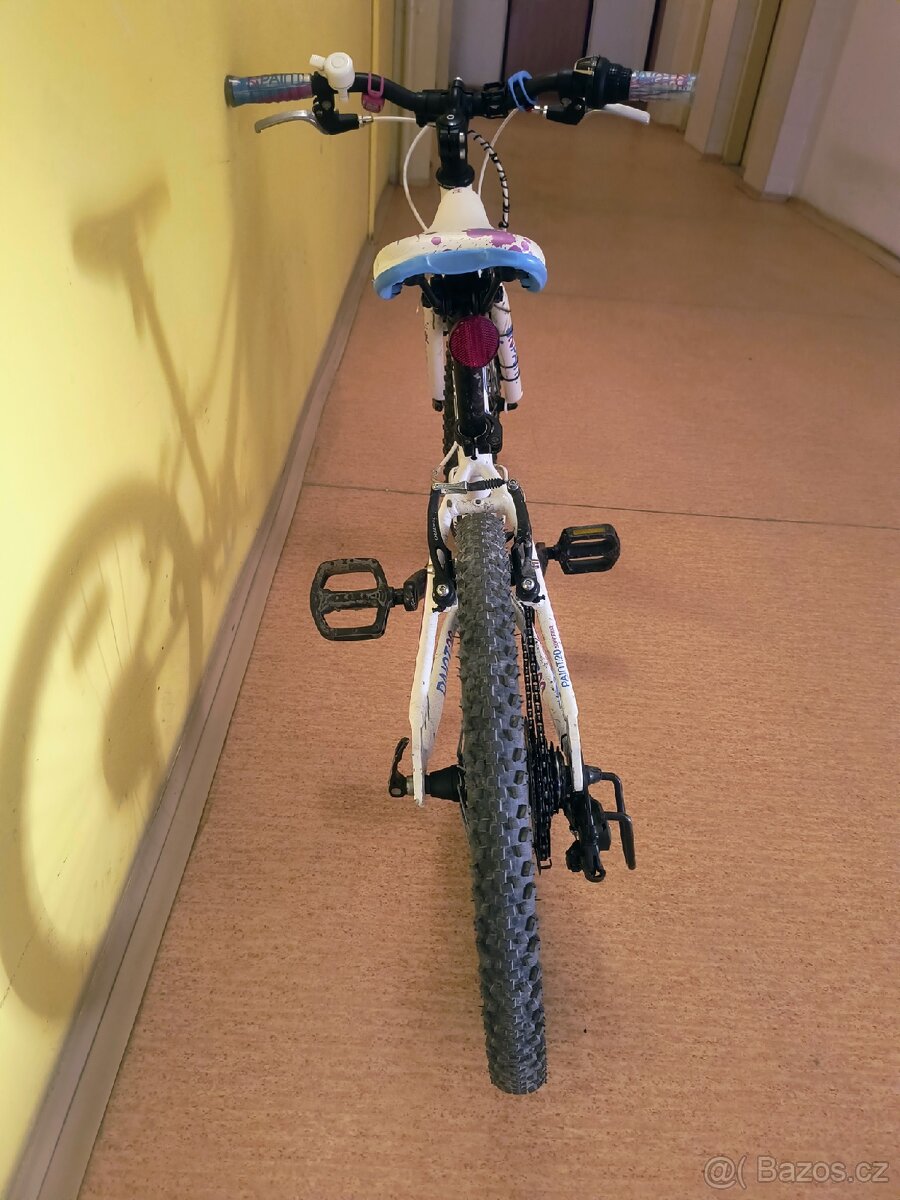 Superior Paint 20 - 5