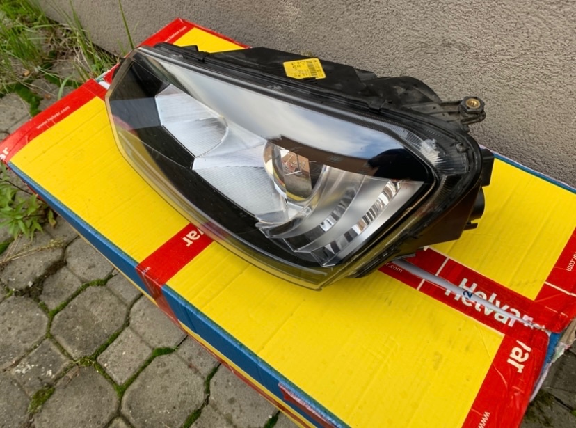 Svetlaskoda yeti - 5