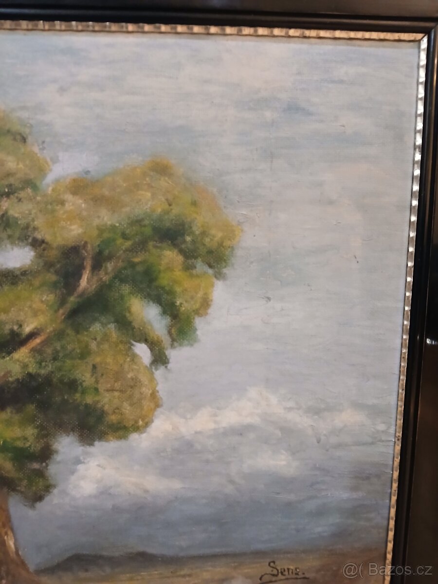 Velký obraz - Krajina - Olejomalba - 5