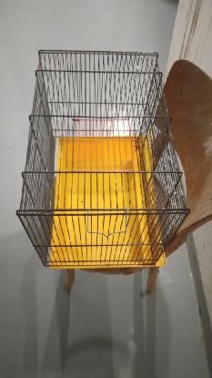 Klec 40 x 40 x 27 cm levně - 5