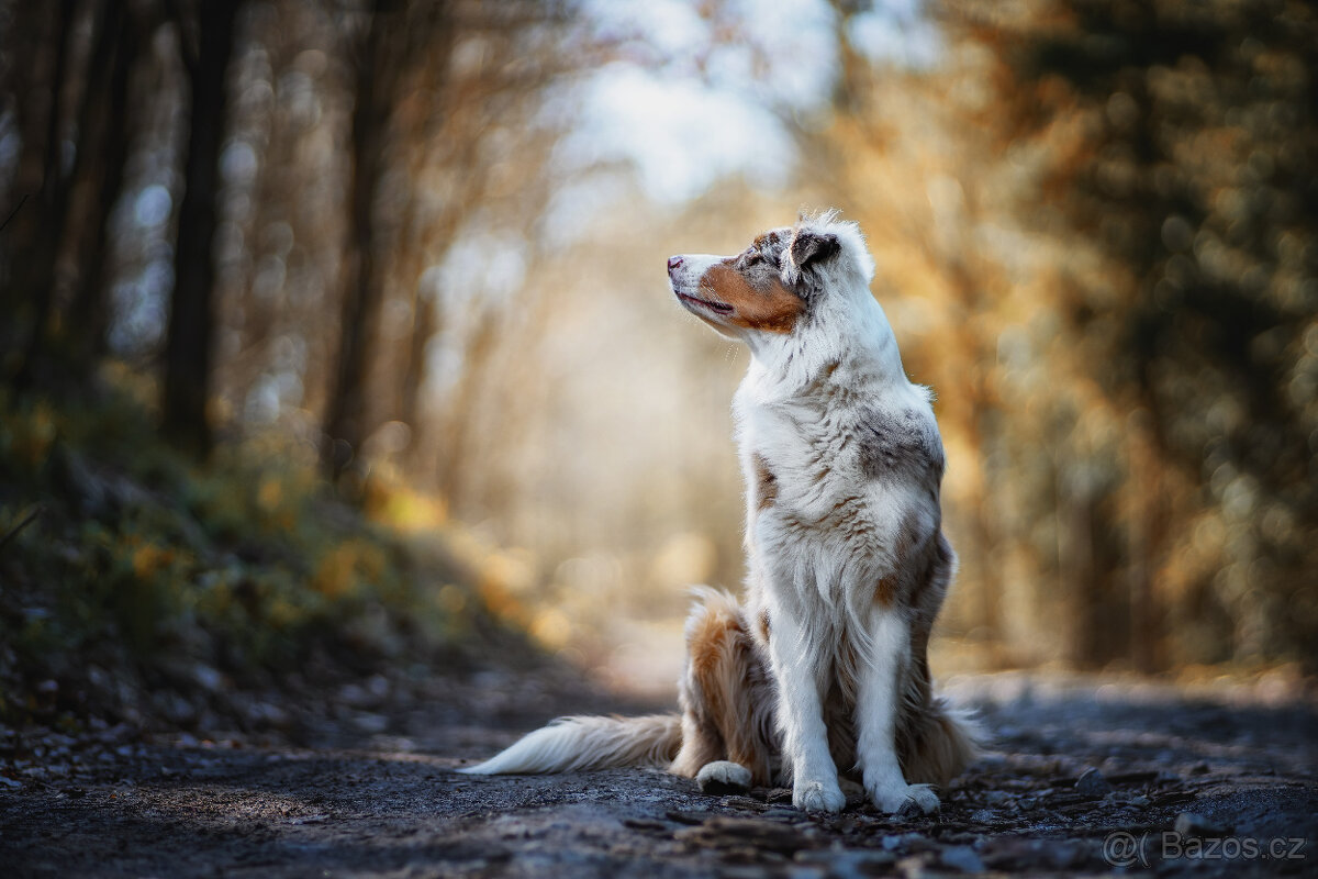 Meopta Meostigmat 119/1,9 M42 - 5