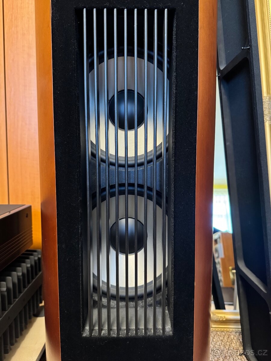 Quadral Phonologue Aurum- Titan - 5