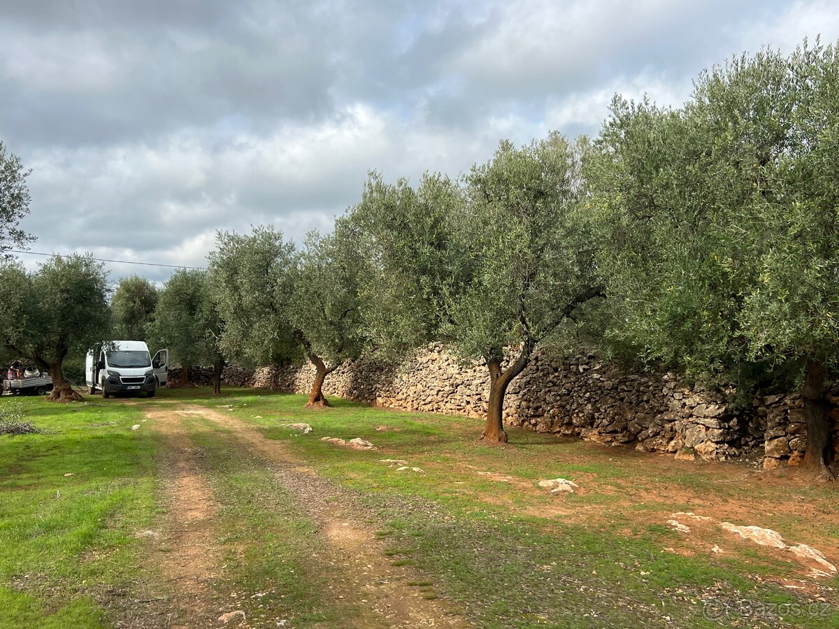 PRODÁNO - Pozemek 10.000m2 u moře🇮🇹 - 5