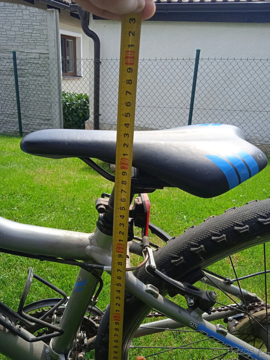 Kolo author a matrix - 5