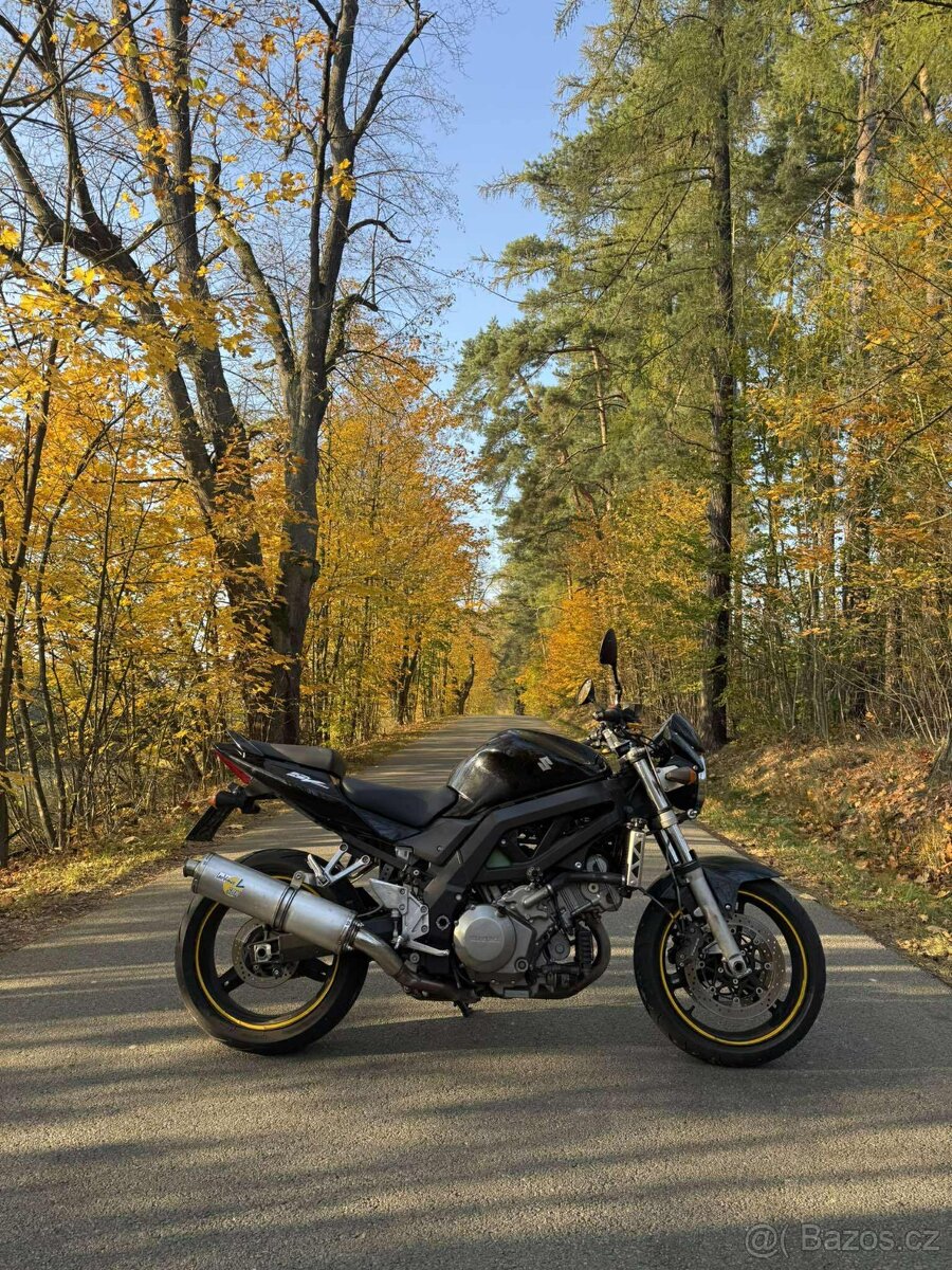 Suzuki SV 1000 N - 5