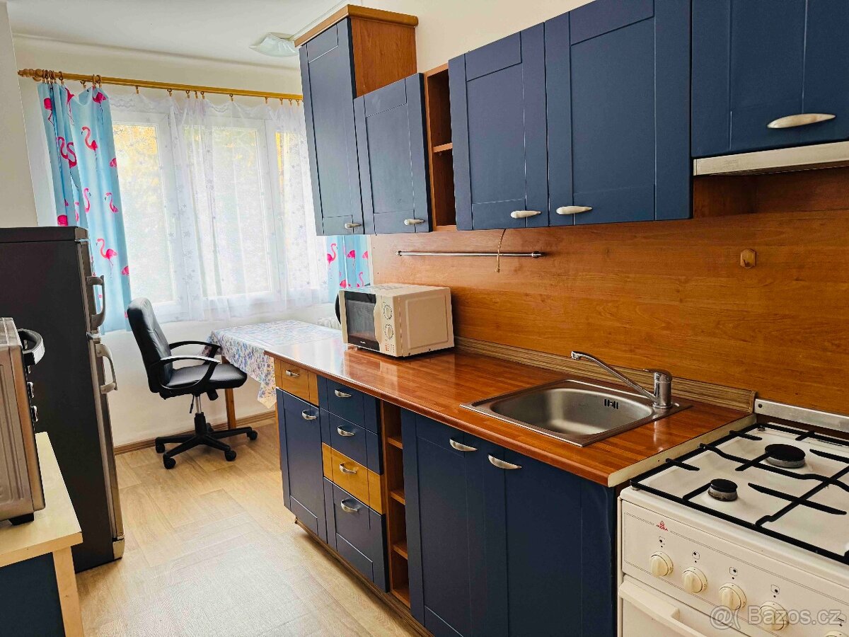 Prodej, byt 2+1, 56m2, ul. Smrková, Plzeň - město - 5