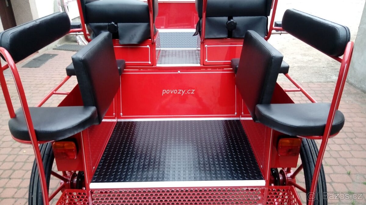 Bryčka, kočár, koňský povoz - 5