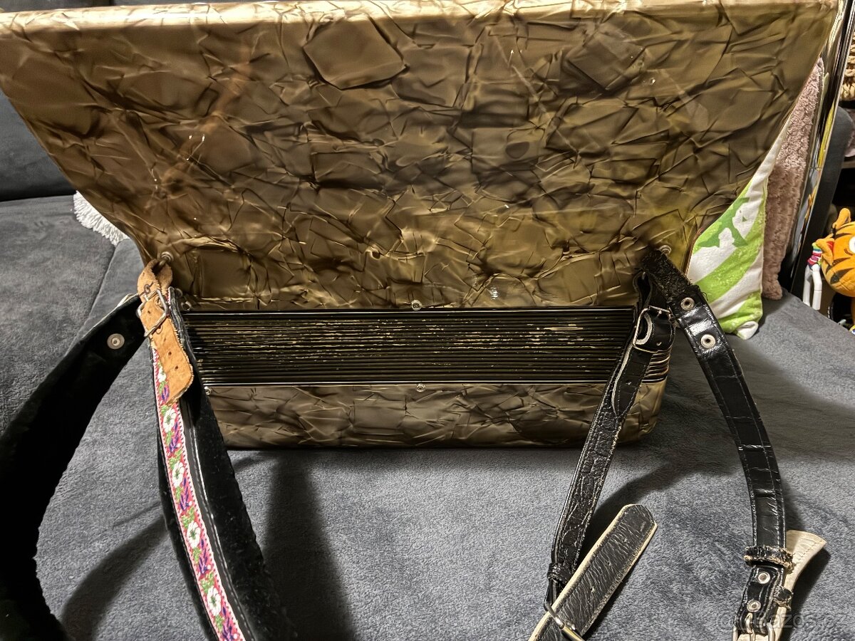 Akordeon/Harmonika Delicia Lignatone - 5