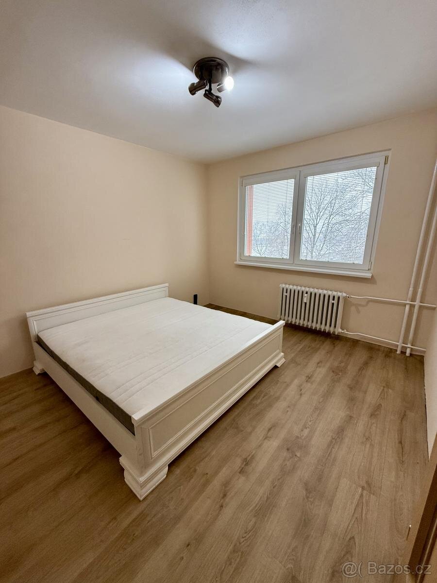 Pronájem bytu 2+1+L 55 m2 - 5