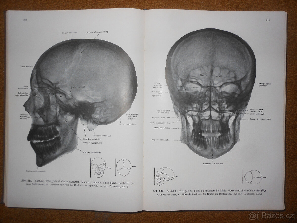 Staré knihy Anatomie člověka - 5