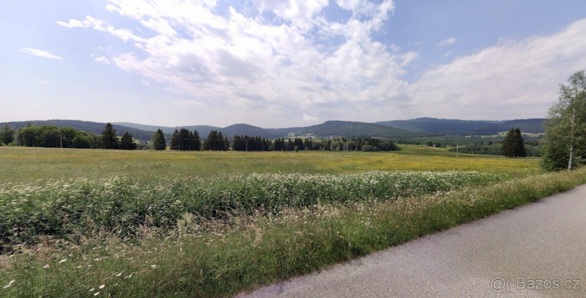 Pozemek na tinyhouse Borová Lada 8894m2 levně - 5