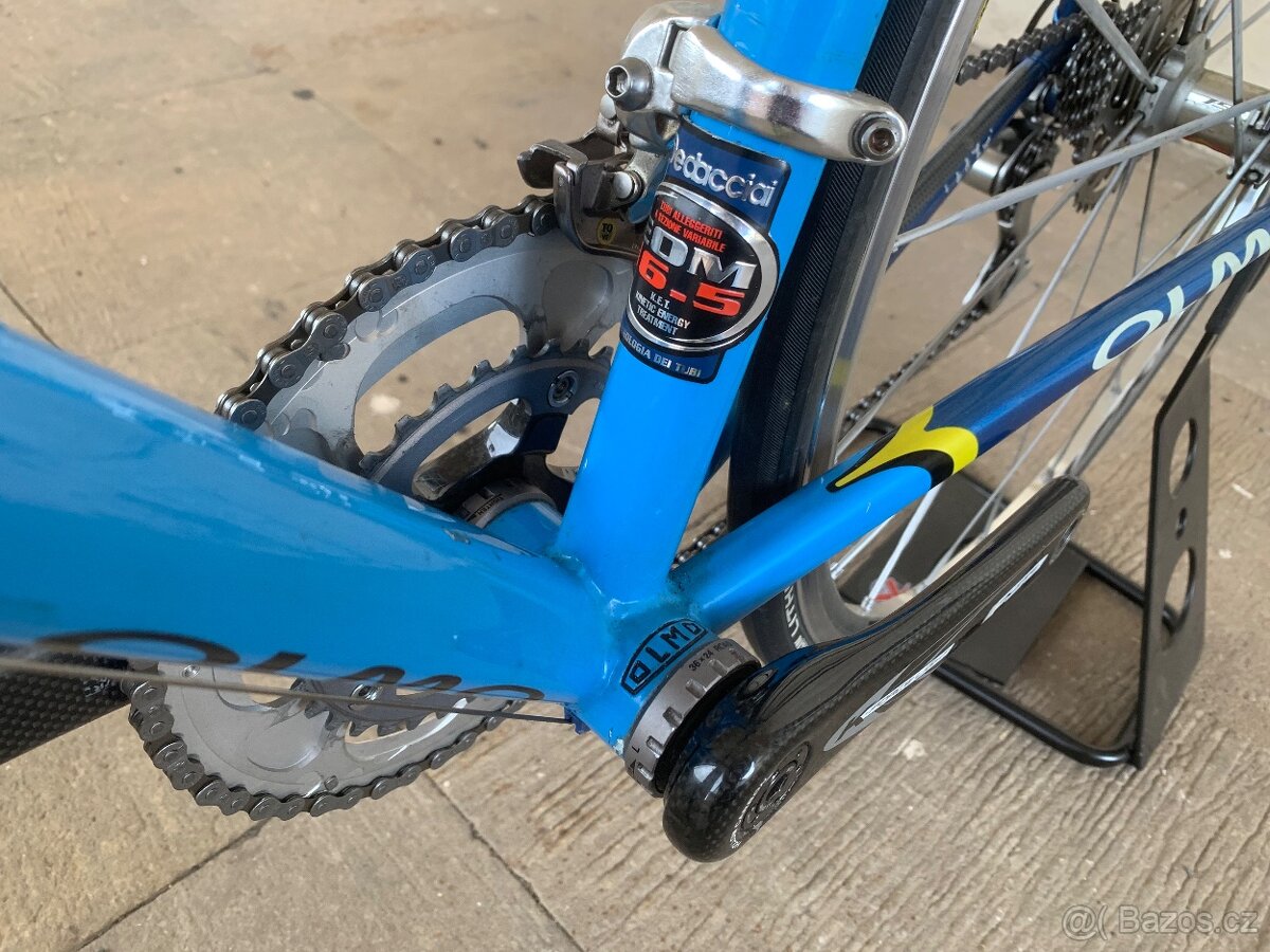 Olmo - 5