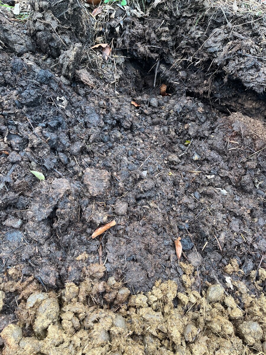 Koňský hnůj zdarma - 5