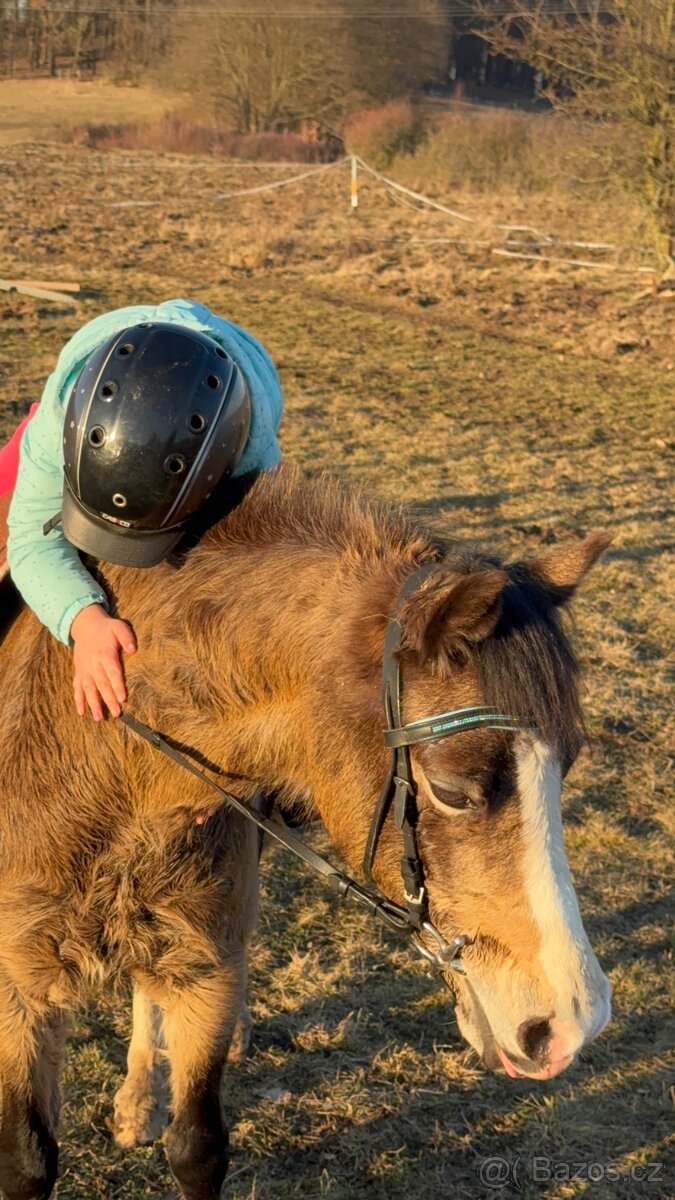 První pony pro děti - 5