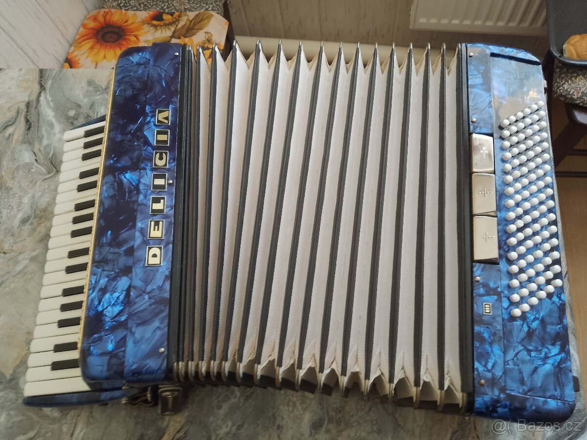 Harmonika Delicia - 5