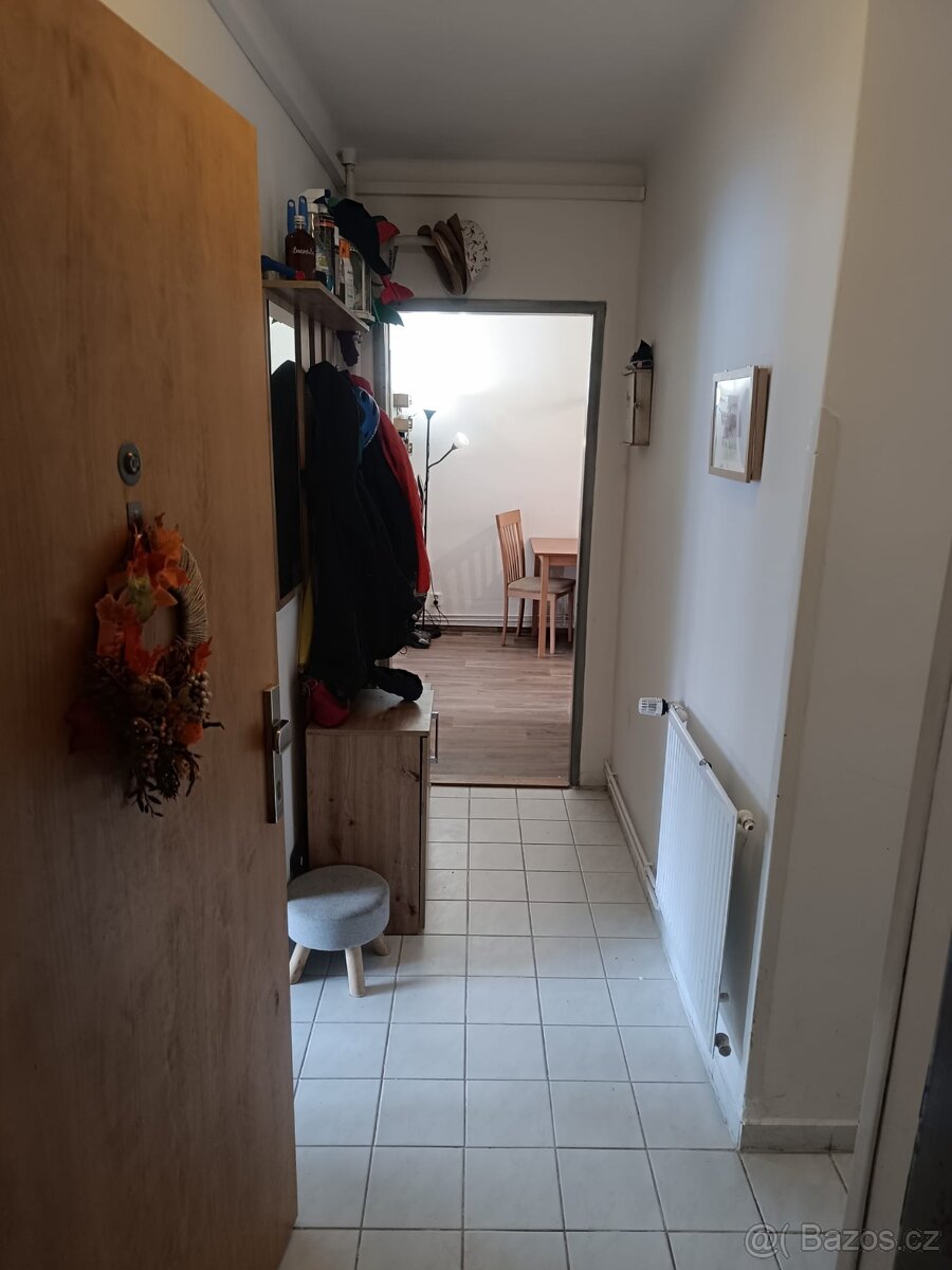 Prodej bytu 2+1, 50m2 (možno upravit na 3+kk) - 5