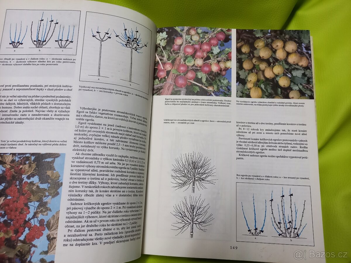 Záhradkárska encyklopédia - 5