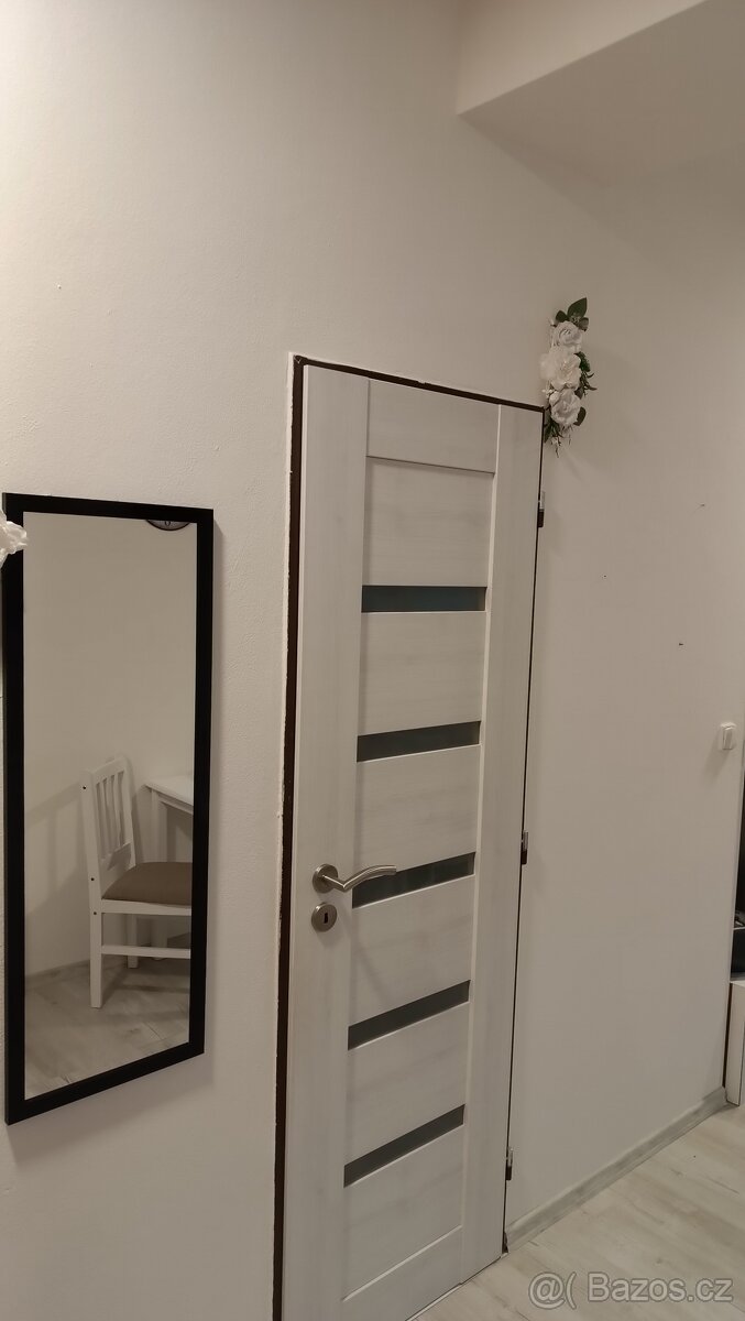 Pronájem bytu 1+kk - 5