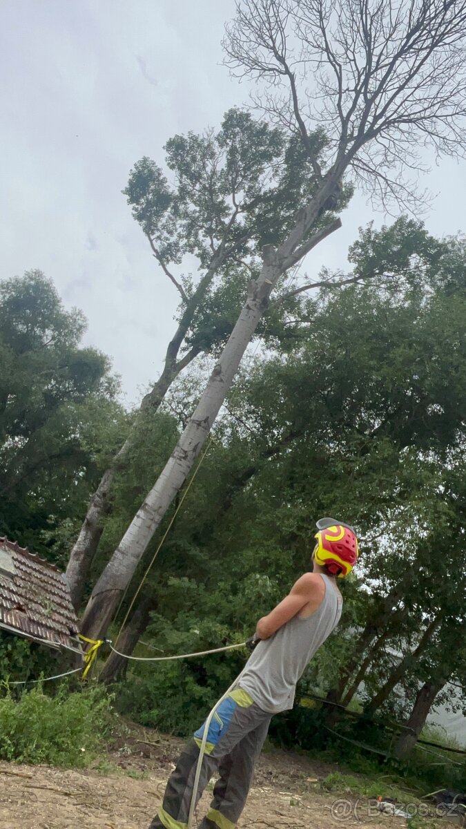 Kácení stromů • Péče o zahradu • Likvidace Dřevin - 5