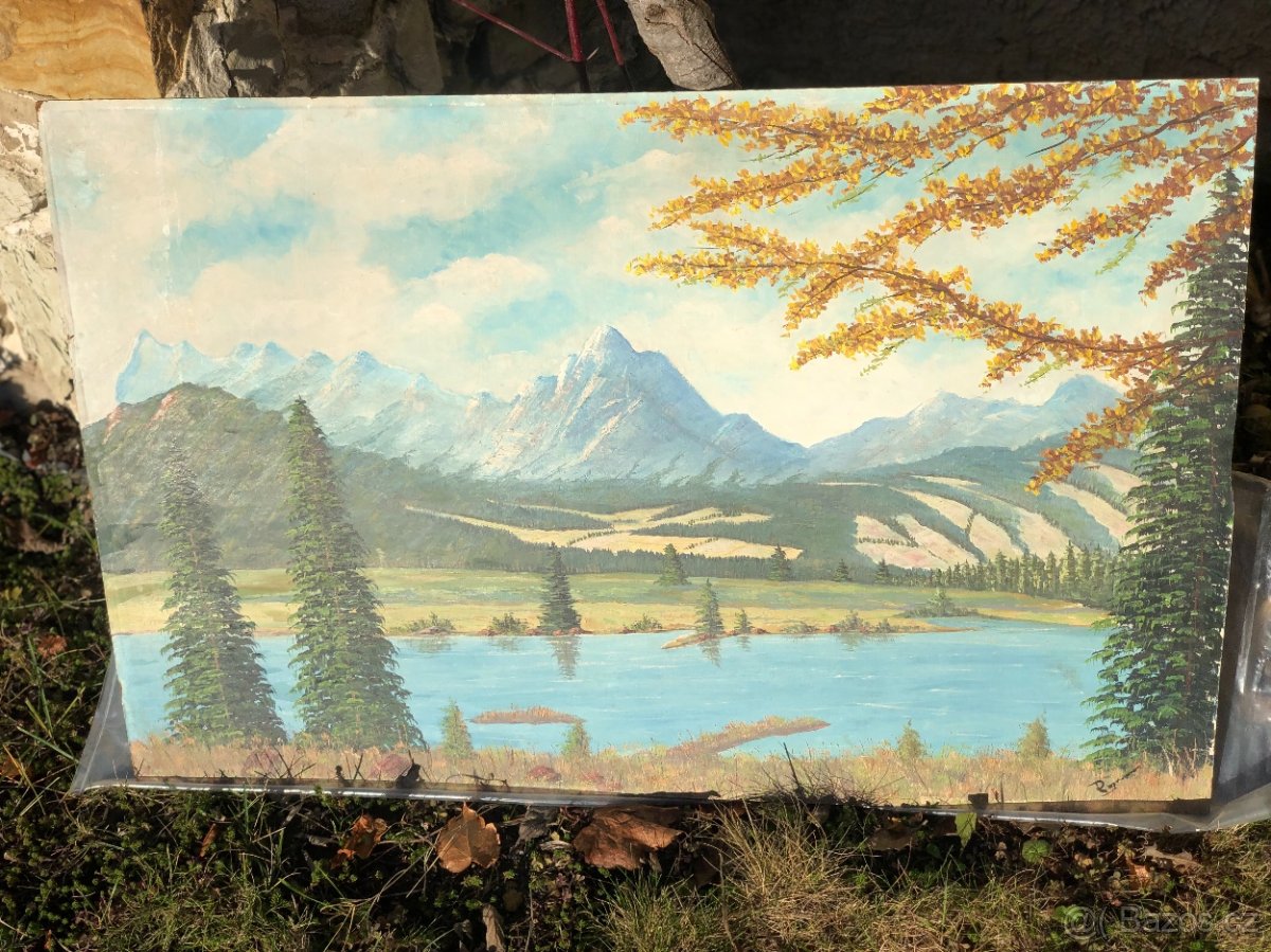 Ručně malovaný obraz - 5