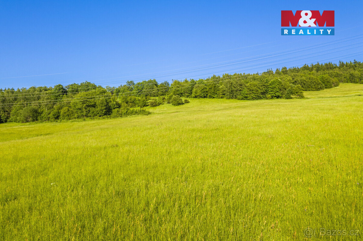 Prodej louky, 7096 m², Dlouhý Most - 5