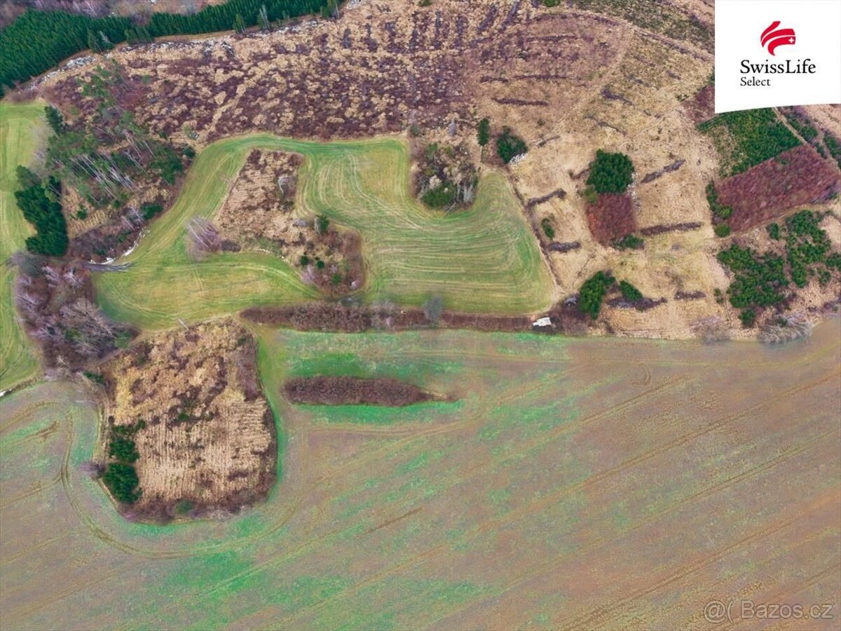 Prodej pole 34564 m2 Růžená - 5