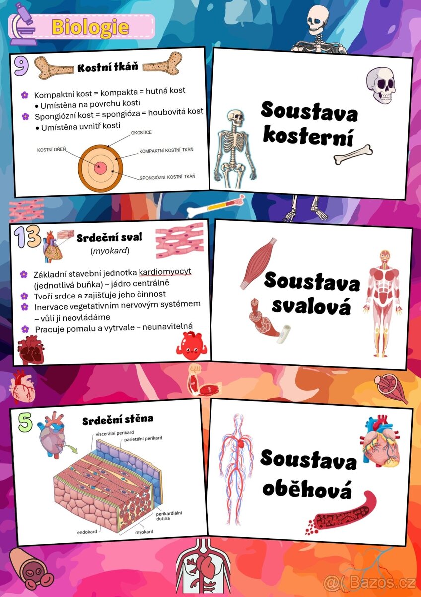 VÝUKOVÉ KARTIČKY BIOLOGIE - 5