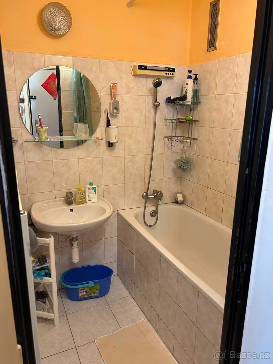 Nabizim prodej byt 3+1 s Garazi v Praze 10 - Strasnice - 5