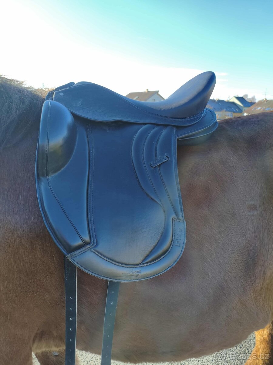 Bezkostrové zánovní sedlo - 5