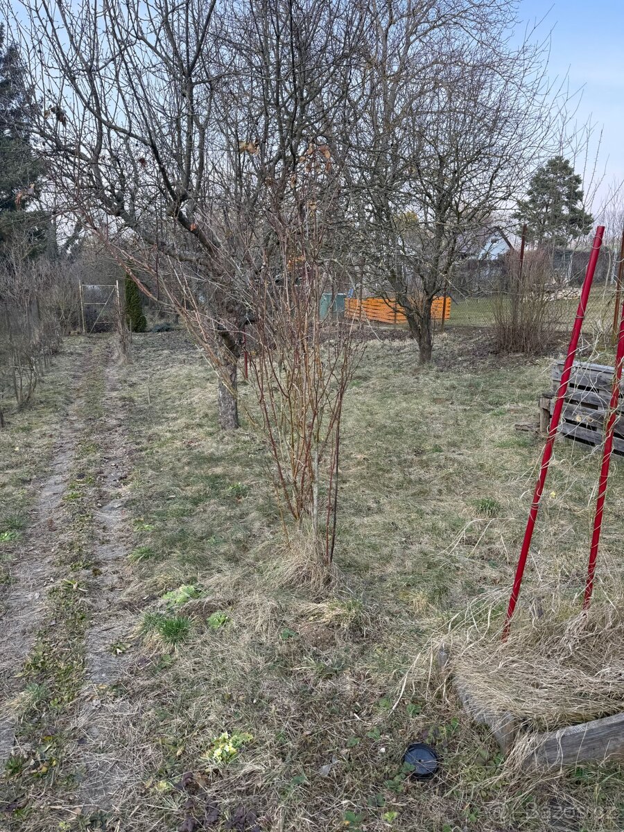 Chata se zahradou Kroměříž - 5