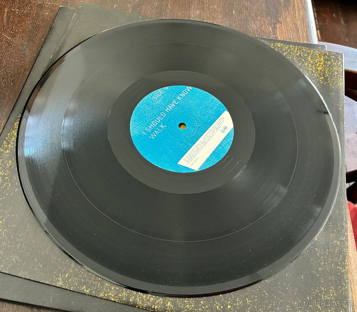 Lp Foo Fighters - Wasting Lights - 5
