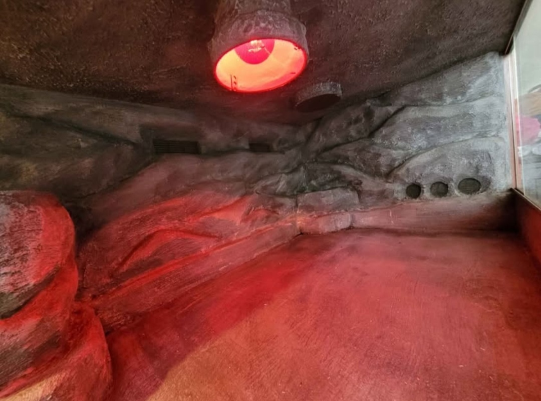 Terarium 170x62x70 - 5