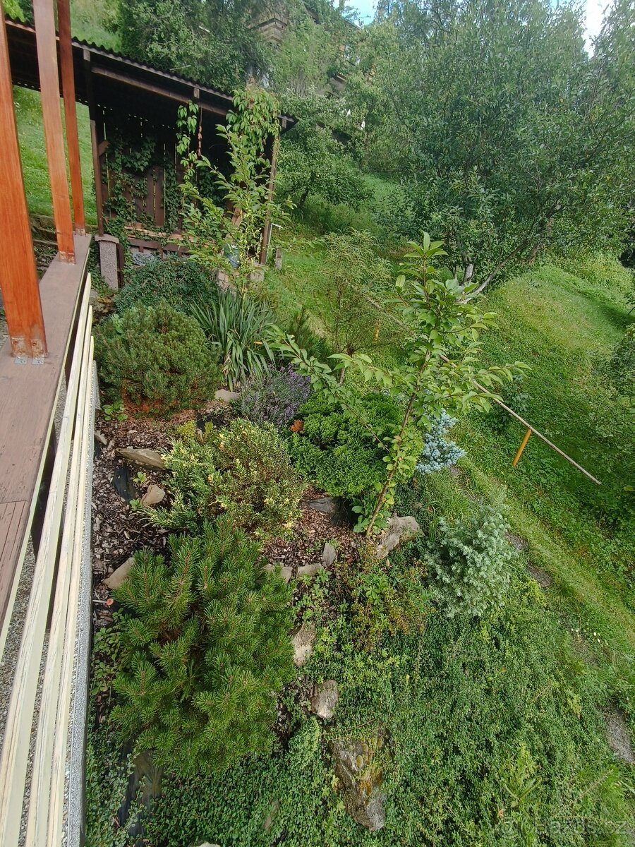 Prodej zahrady Za Díly - 5