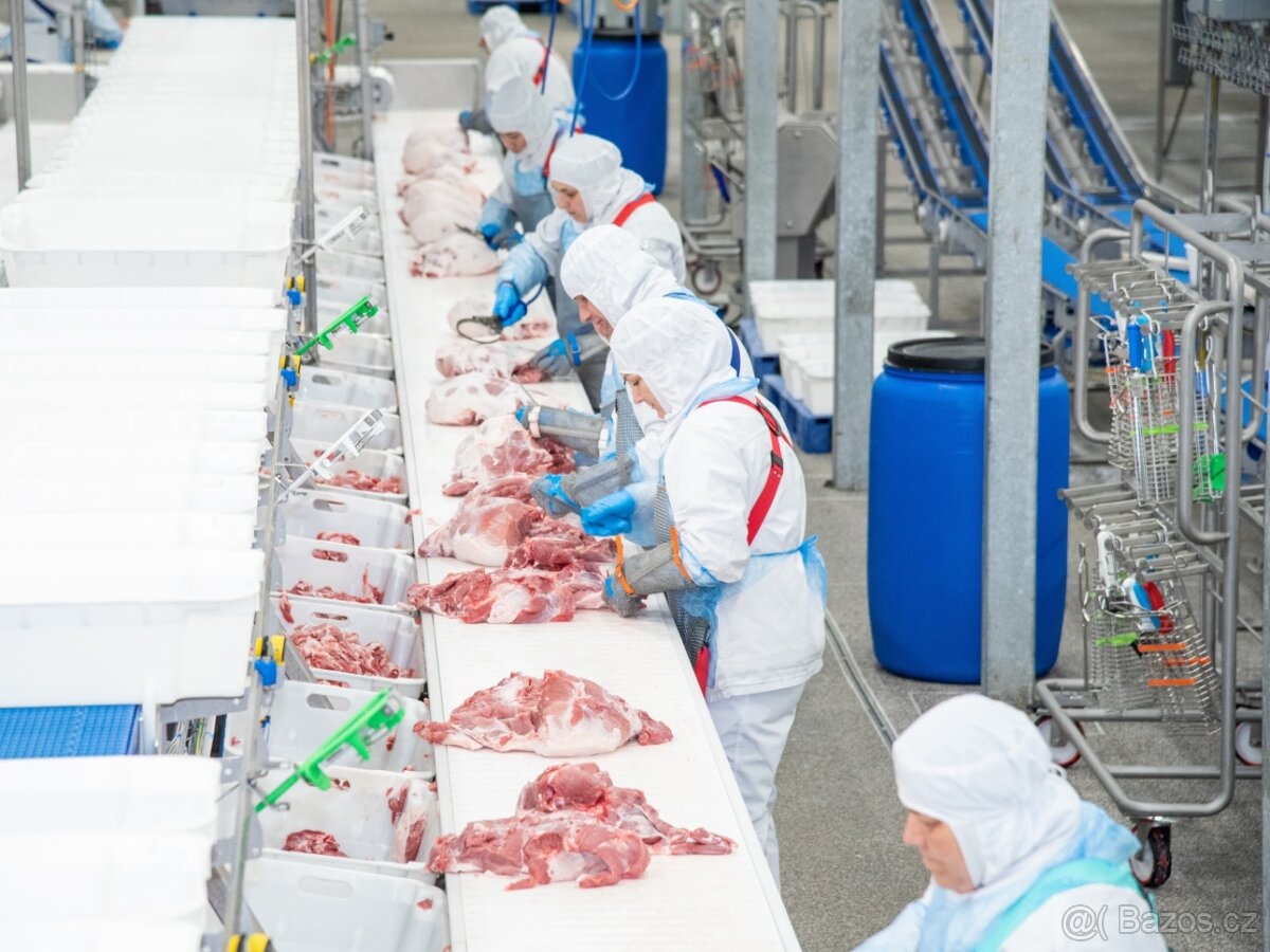 přijmeme ihned dělnice/dělníky do Jatek+Masokombinátů - 5