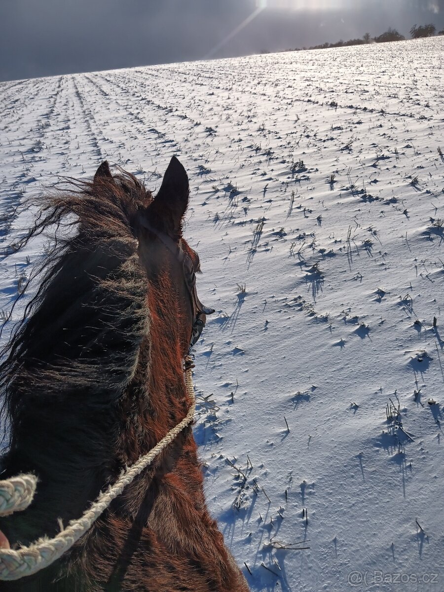 Vyjížďky na koni - 5