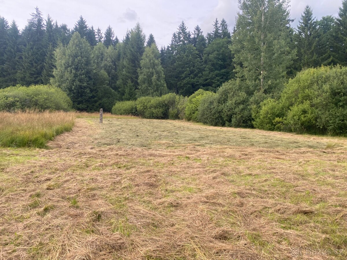 AUTODOPRAVA a STĚHOVACÍ SLUŽBY SOUKUP - 5