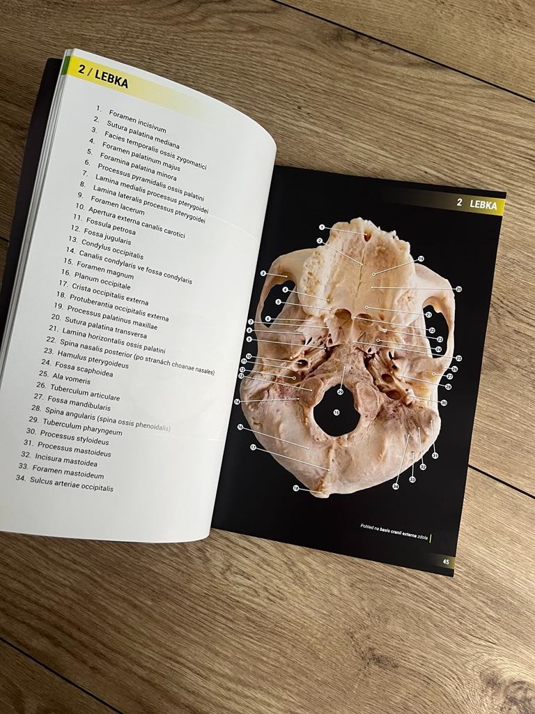 Atlas vybraných kapitol anatomie člověka - 5