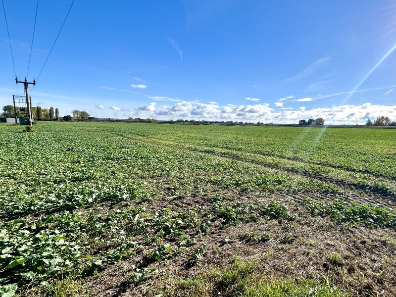 Stavební parcela na okraji města Dašice - 5