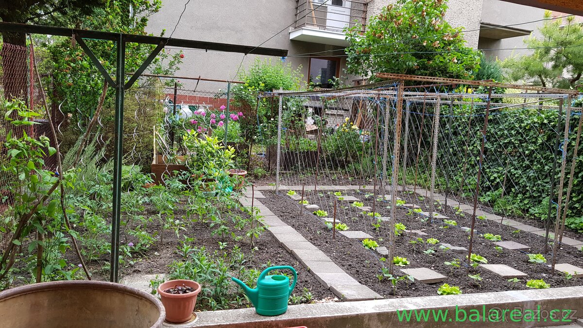 2+1 ulice Tišnovská, Brno - Černá Pole CP- 65 m2 s balkónem - 5