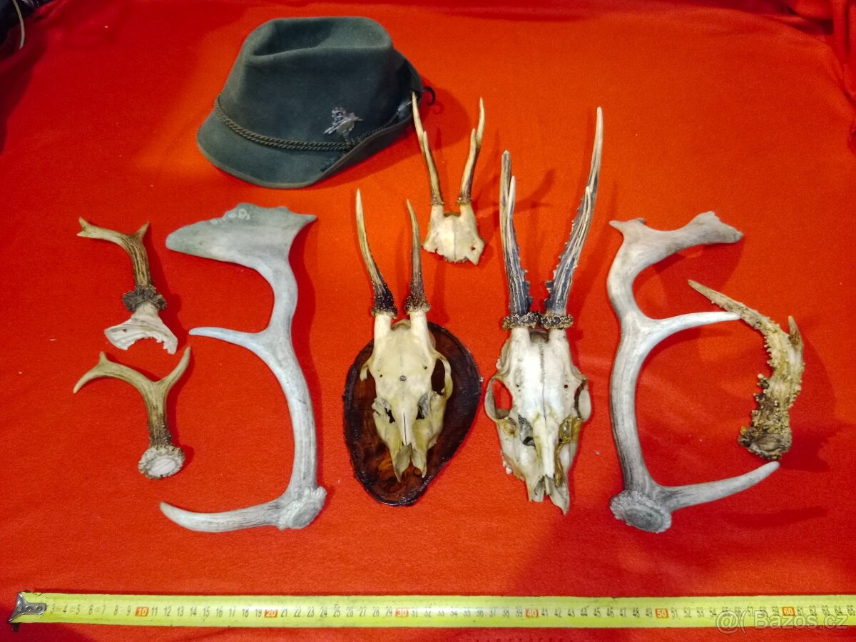 Paroží 18 ks, klobouk s odznakem a masivní kovový obraz - 5