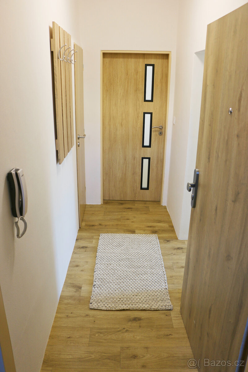 Pronájem bytu 2+1 se zahradou - 5
