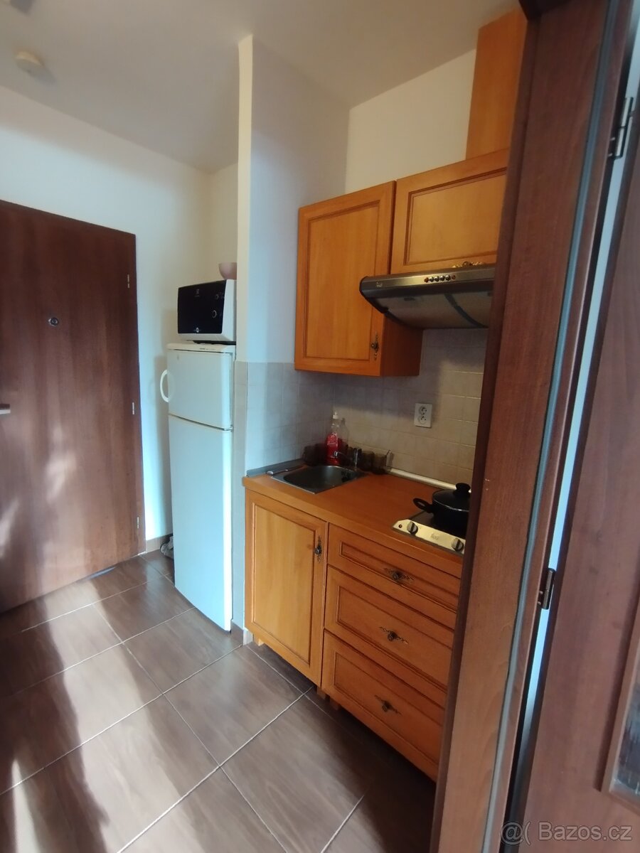 Pronájem bytu mestec kralove - 5