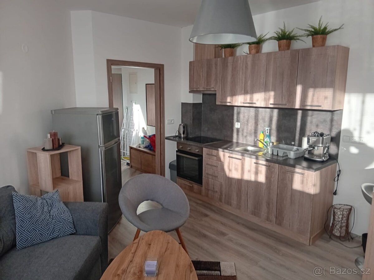 Pronájem bytu 2+KK v Mutěnicích - 5