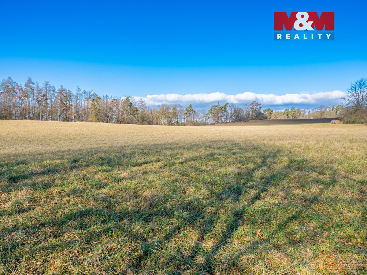 Prodej louky, 11767 m², Benešov - 5