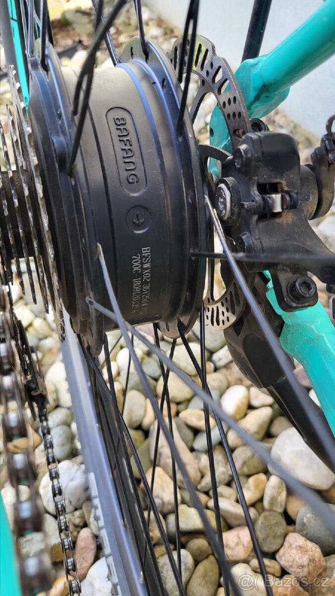 Leader Fox Venosa - 5