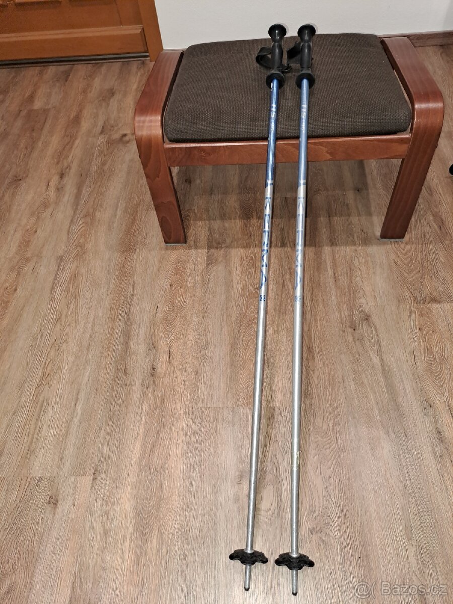 Sjezdové hole - 5