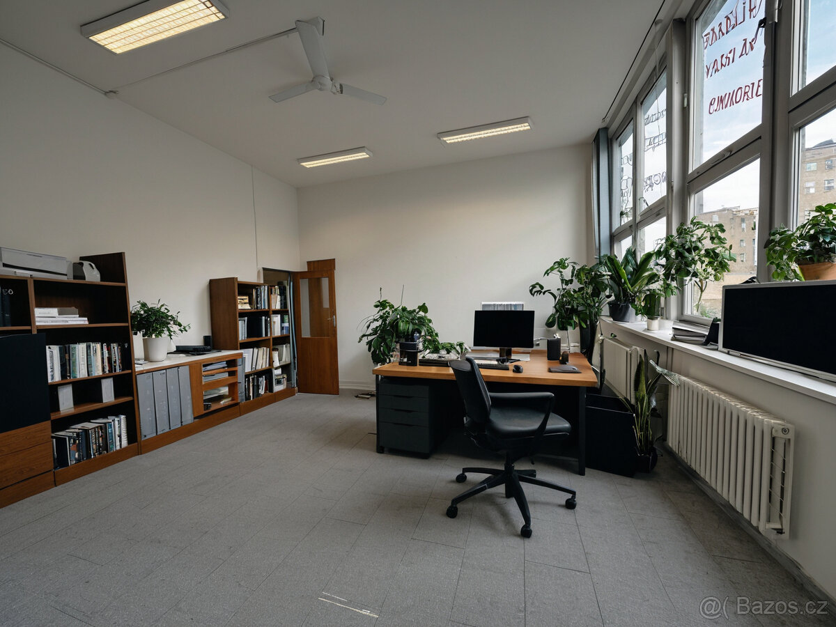 Pronájem, kancelář, 34 m2, Zábřeh - 5