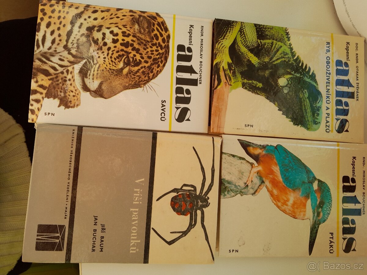 Zvířata celého světa - 5